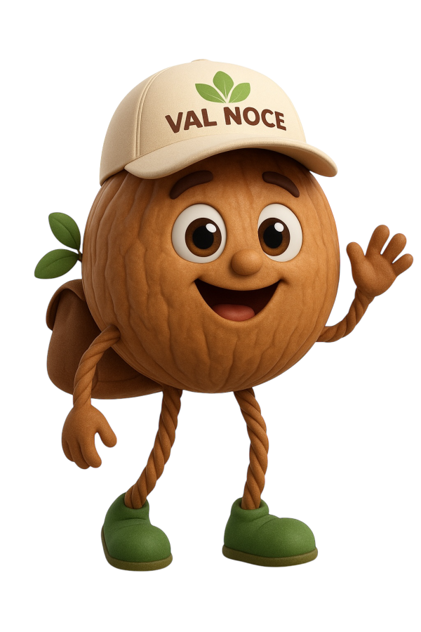 Photoroom_20251022_134848 Photoroom_20251022_134848